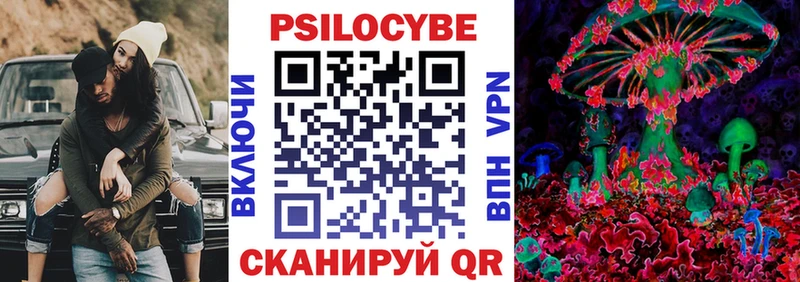 где купить наркотик  Сертолово  Псилоцибиновые грибы Psilocybine cubensis 